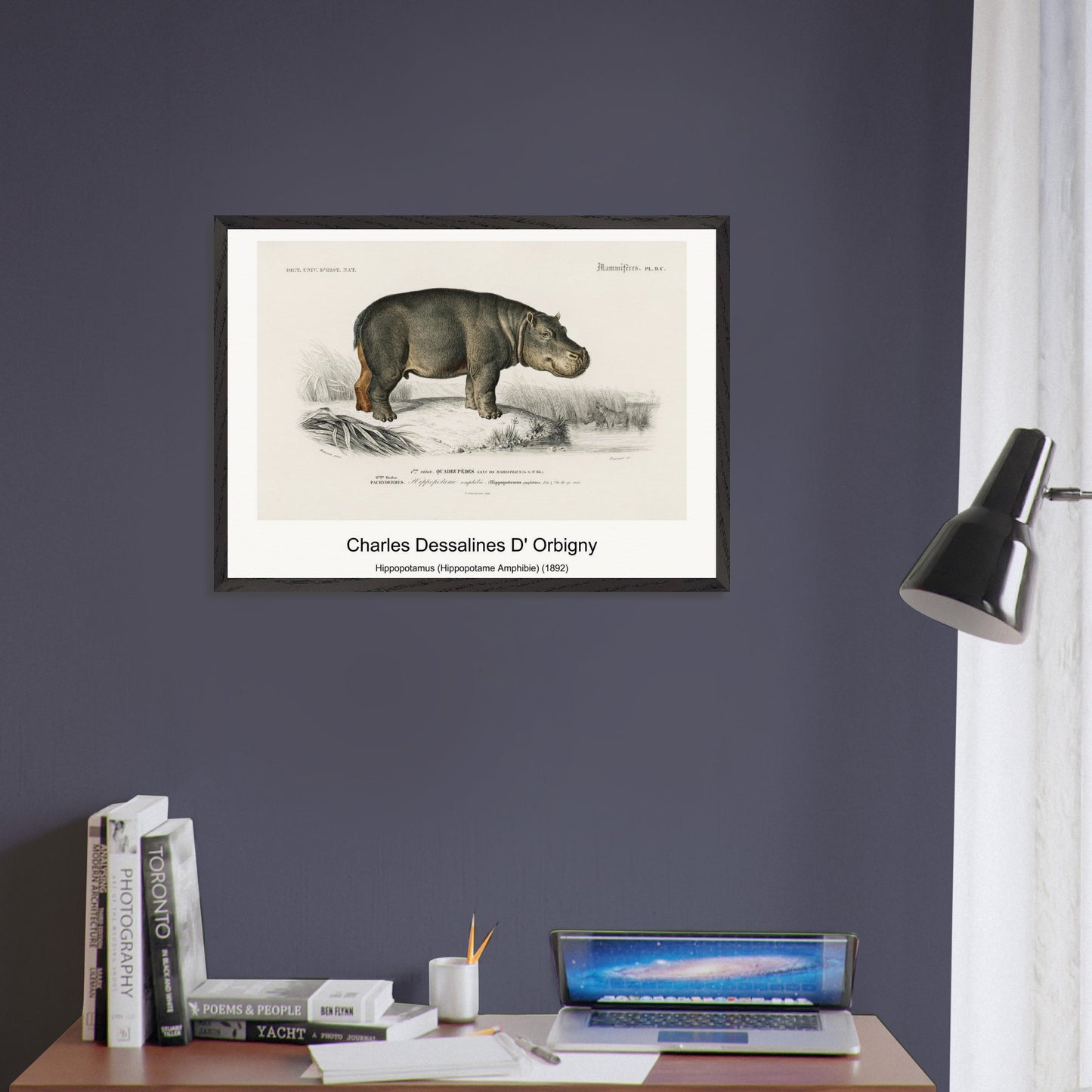 7e5a84bb-08f9-46ba-8f43-a296621baaf7