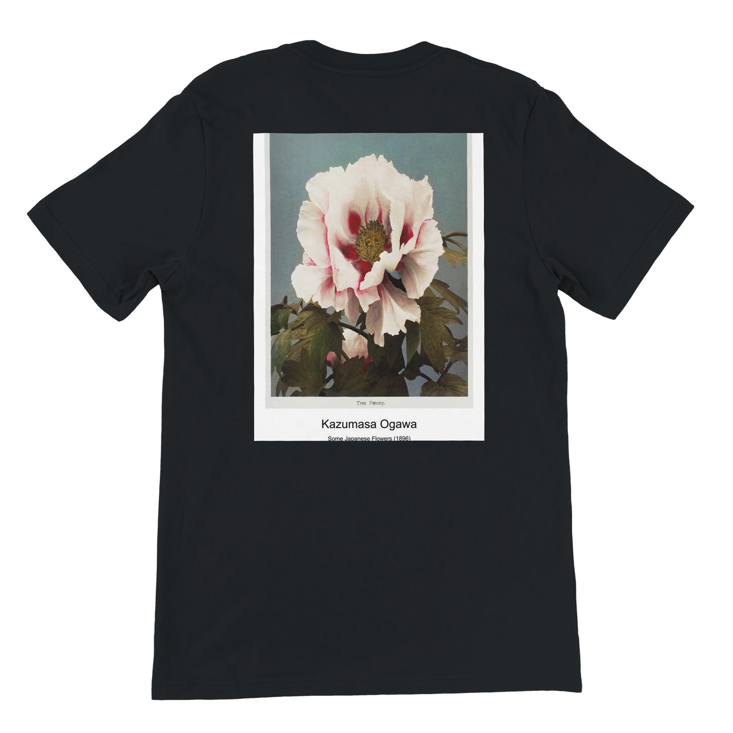 7e63594e-2d54-4fe7-871c-4324ab780470