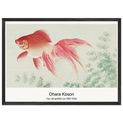 Birds at full moon (1900 - 1936) by Ohara Koson. Archival Print on Museum Quality Matte Paper. Premium Wood Framed Wall Art. Optimised Aspect Ratio.