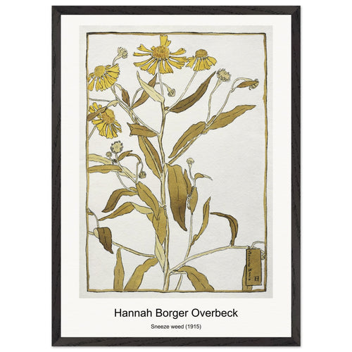 Sneeze weed (1915) by Hannah Borger Overbeck. Archival Print on Museum Quality Matte Paper. Premium Wood Framed Wall Art. Optimised Aspect Ratio.