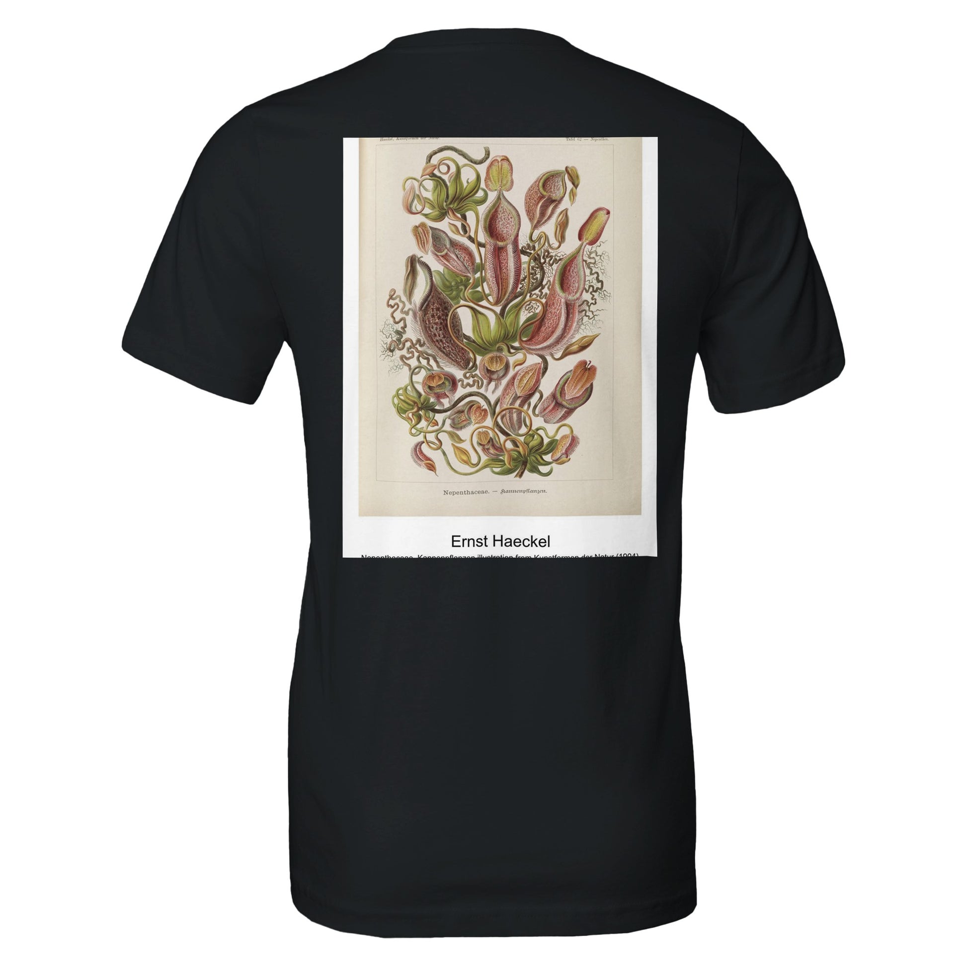 7fc115be-7a22-491d-9907-5e7a69de43c6