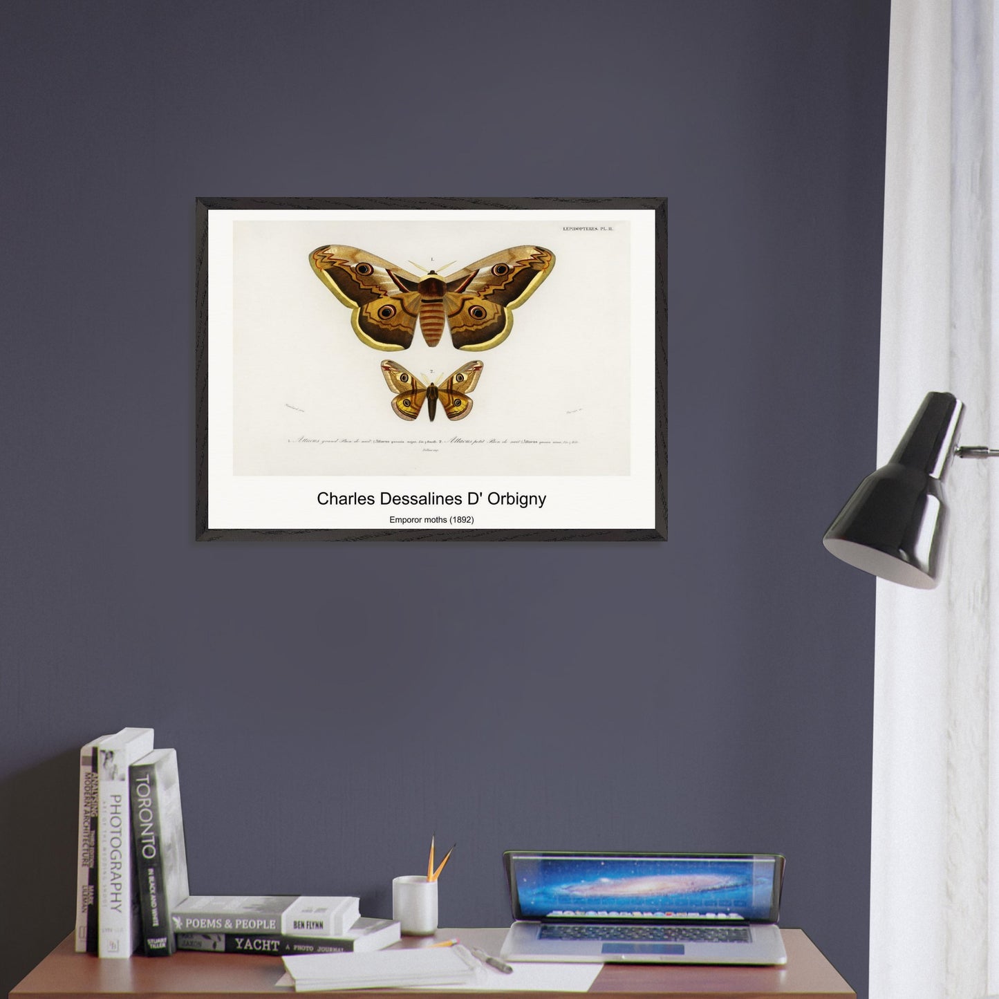 800870f7-351a-43e8-bd5e-465f772fd2ba