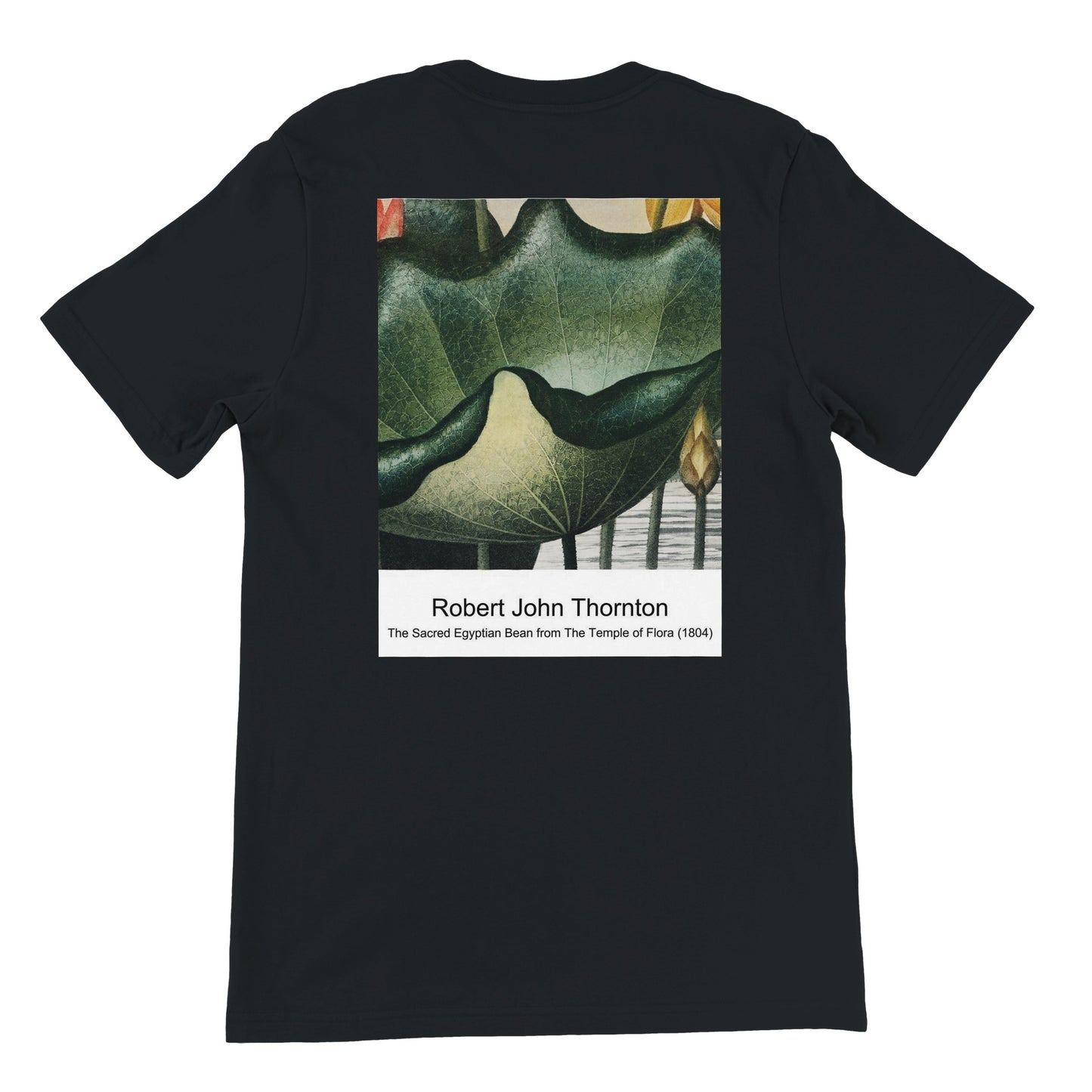 800eb381-8911-42ed-b866-dee914b84d92