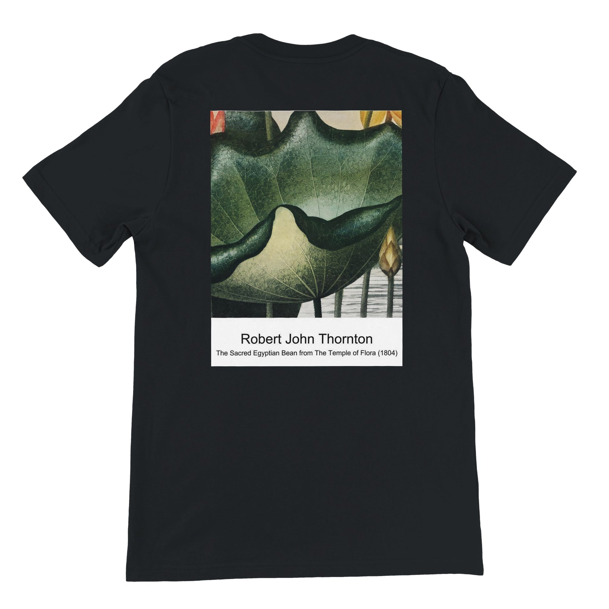 800eb381-8911-42ed-b866-dee914b84d92