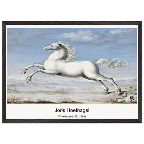 White horse (1552-1601) by Joris Hoefnagel. Archival Print on Museum Quality Matte Paper. Premium Wood Framed Wall Art. Optimised Aspect Ratio.