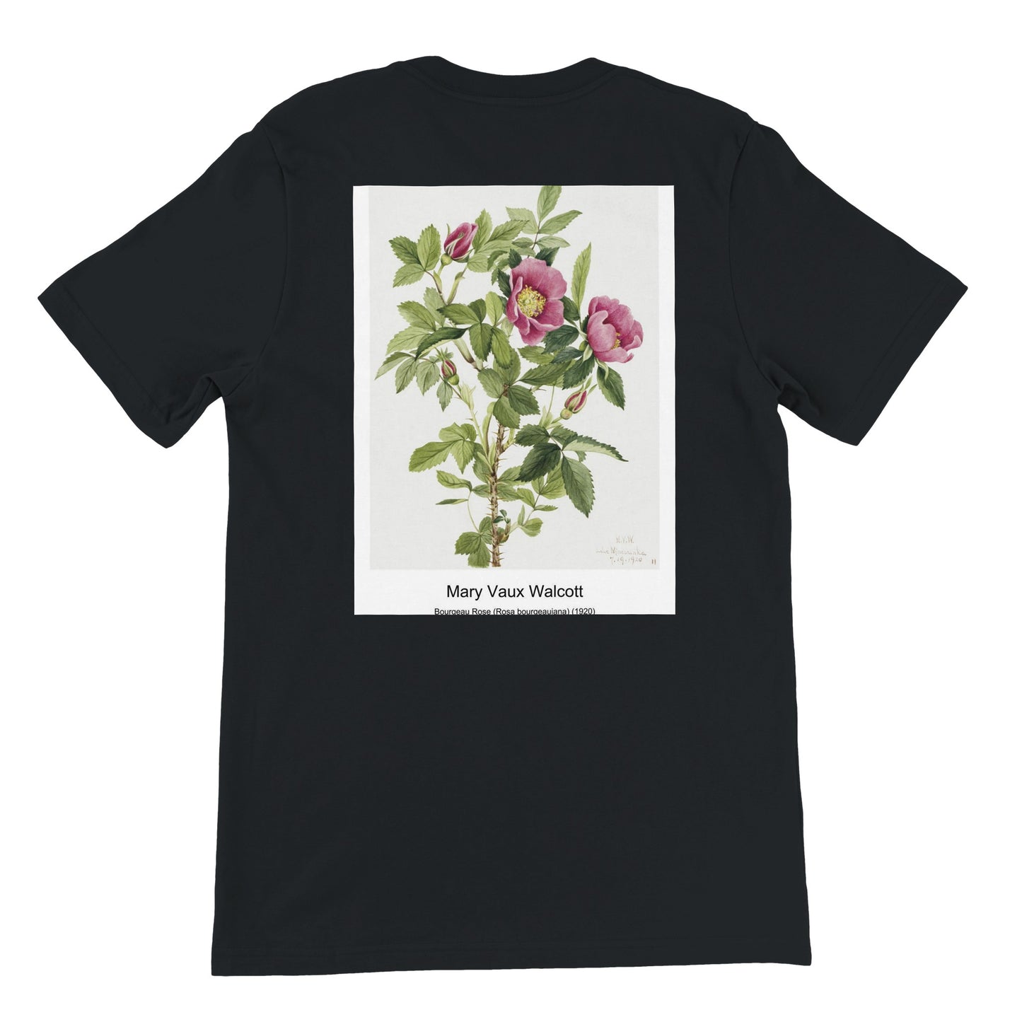 805c049d-3b12-408f-964e-e51bfe964505