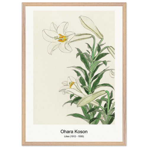 Lilies (1912 - 1930) by Ohara Koson. Archival Print on Museum Quality Matte Paper. Premium Wood Framed Wall Art. Optimised Aspect Ratio.