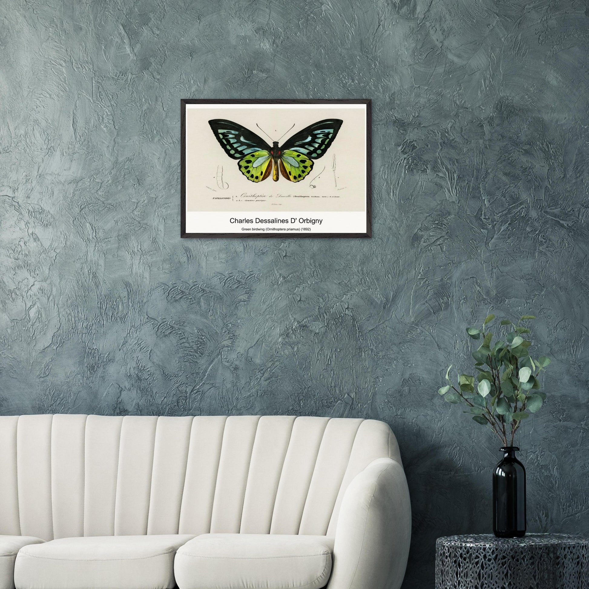 8194c374-3c40-4c1f-b5a5-a5dad05d8e46