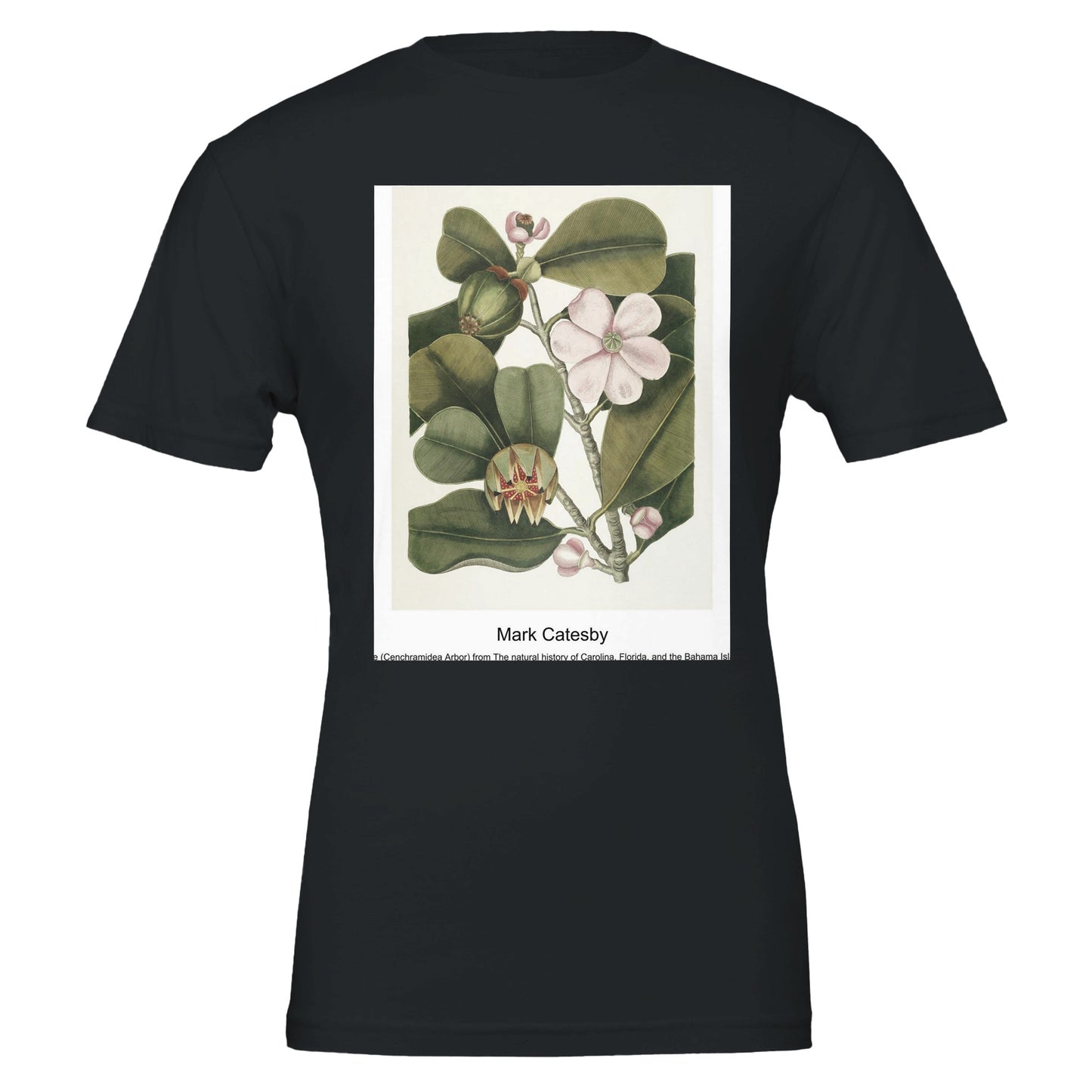 81e7e137-3102-47f8-84fd-5652eff66599