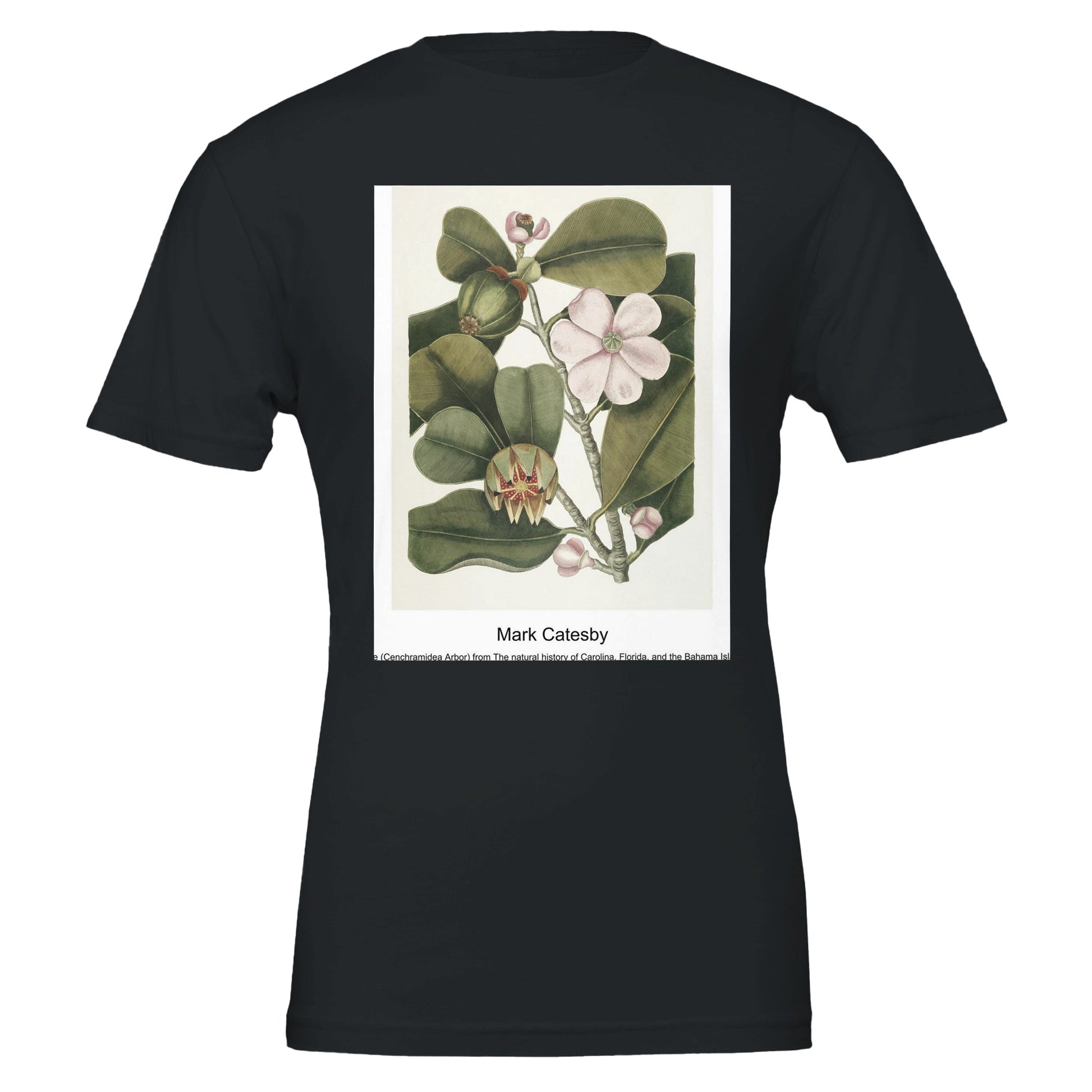 81e7e137-3102-47f8-84fd-5652eff66599