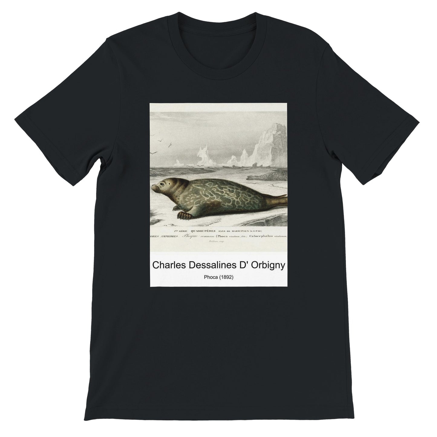 81f0385d-13e6-4eb5-bfce-0eca1f7a1dfa