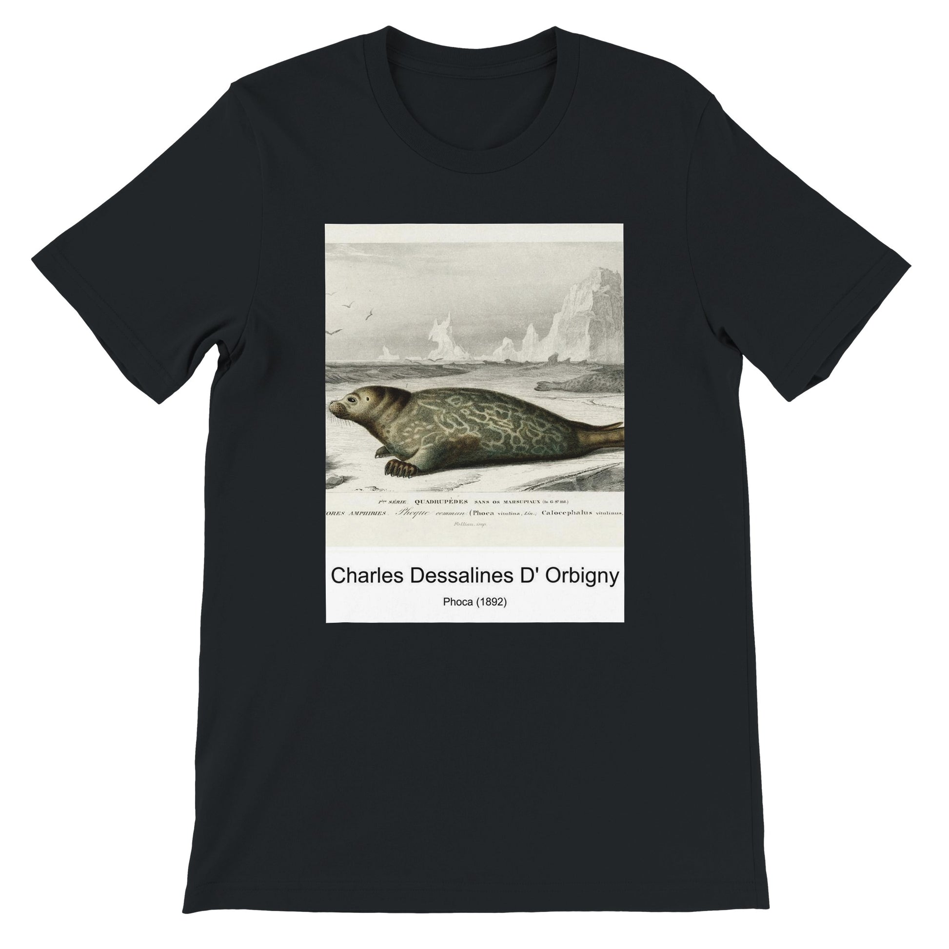 81f0385d-13e6-4eb5-bfce-0eca1f7a1dfa