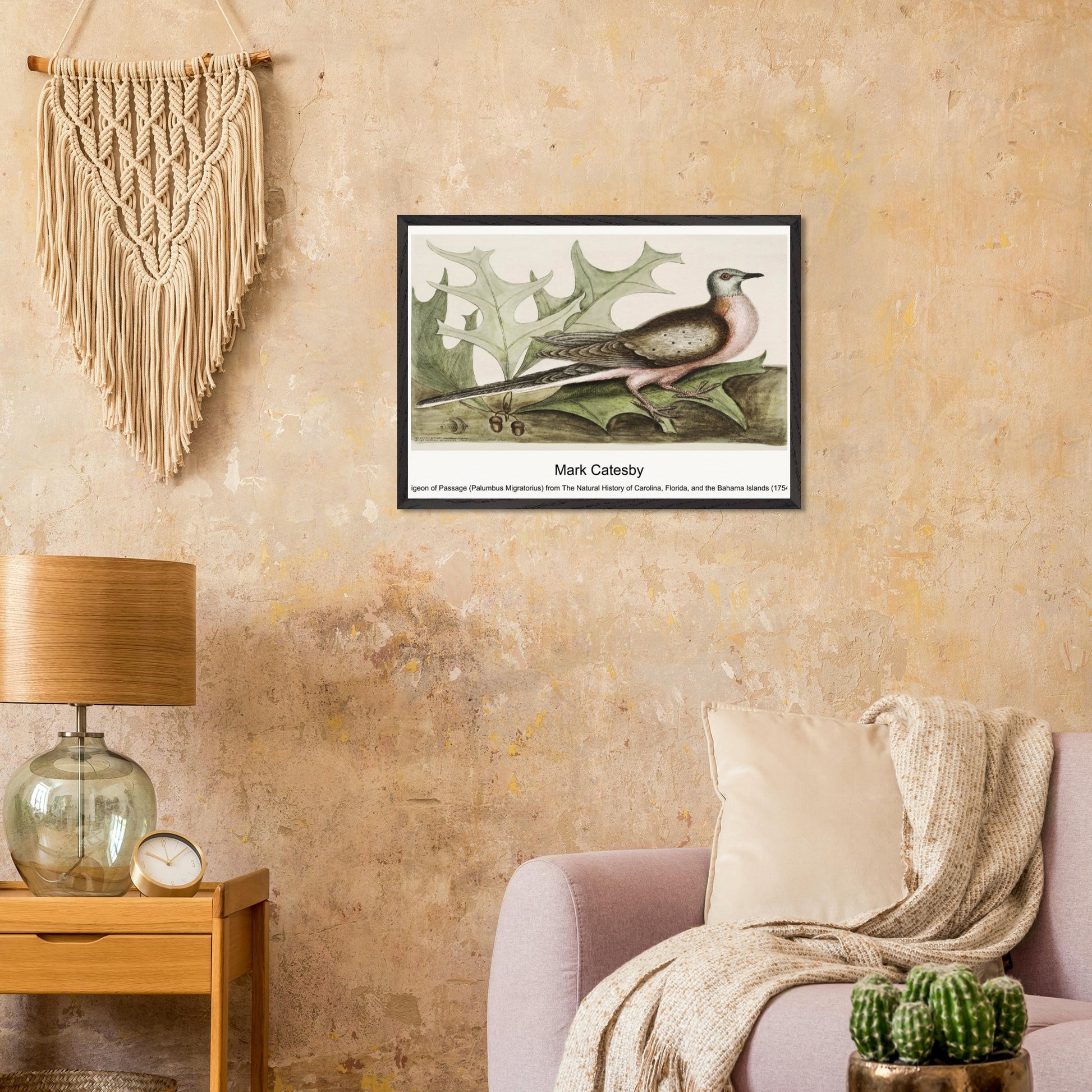 82c4f72e-41d4-43b1-8377-e65c0860ae0c