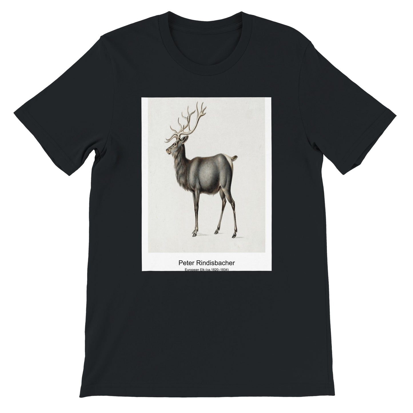 82f5d139-9865-439d-8bee-c9fc27ce923d