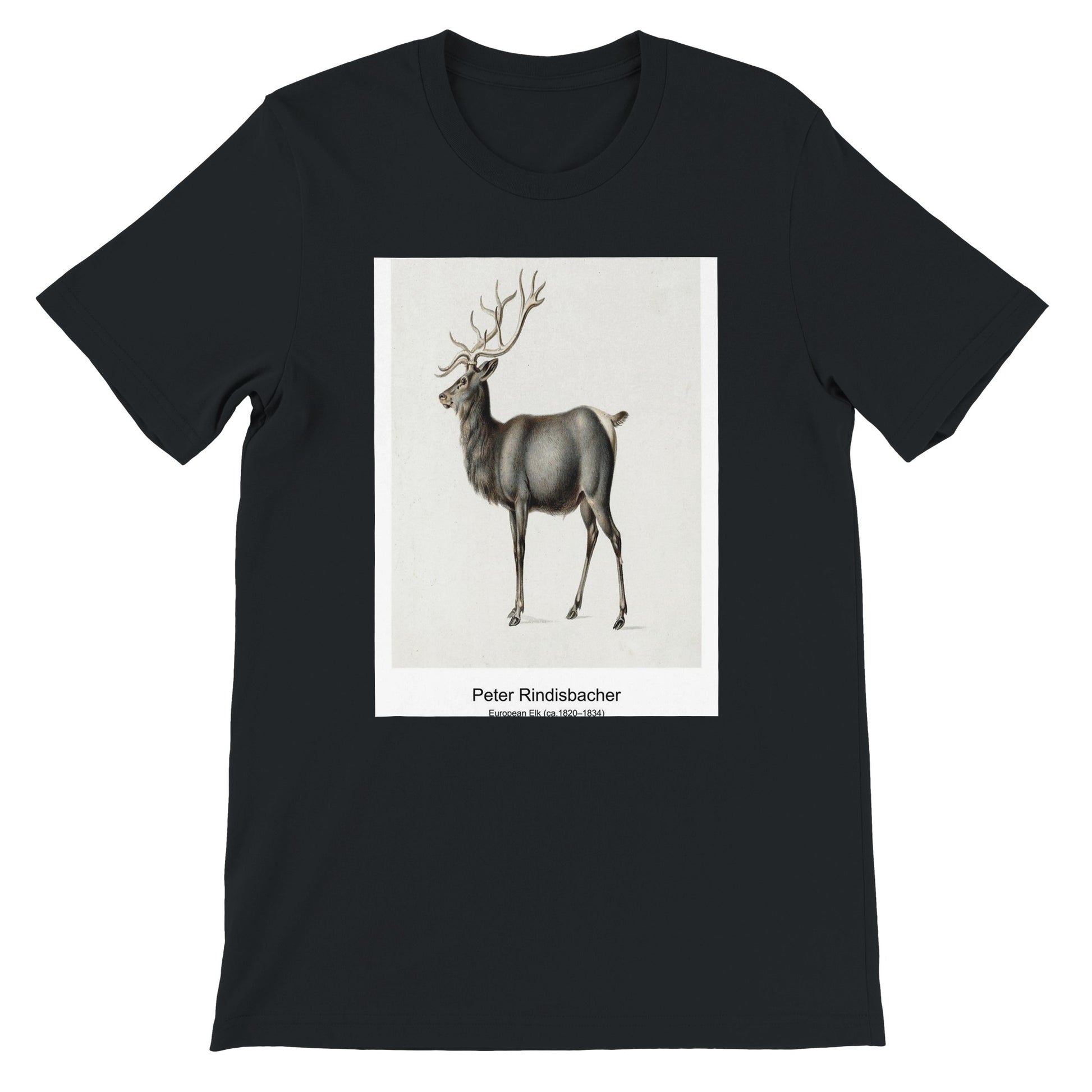 82f5d139-9865-439d-8bee-c9fc27ce923d