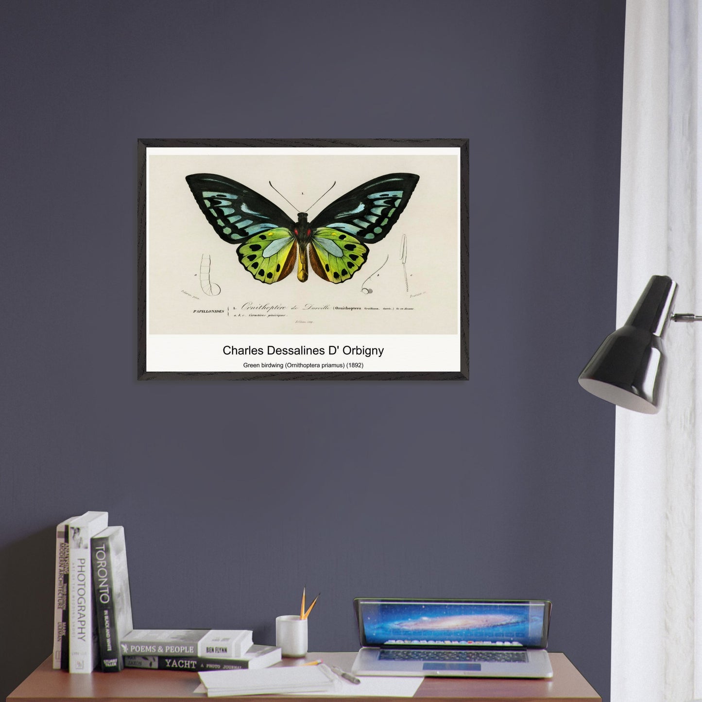 840f7101-50b0-4853-ad92-0a31bed3dc0d