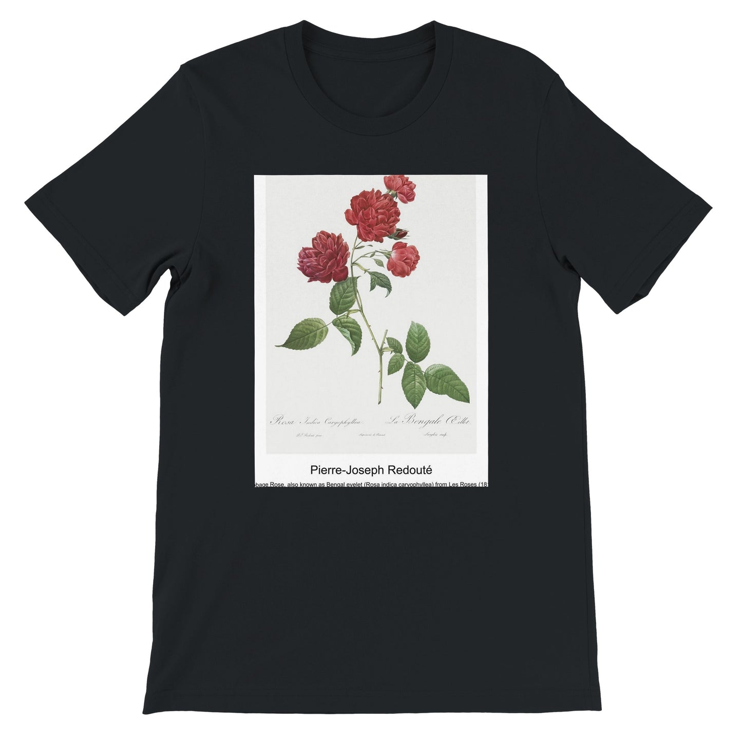 846faf5c-e000-4308-9828-5d4b189eada4