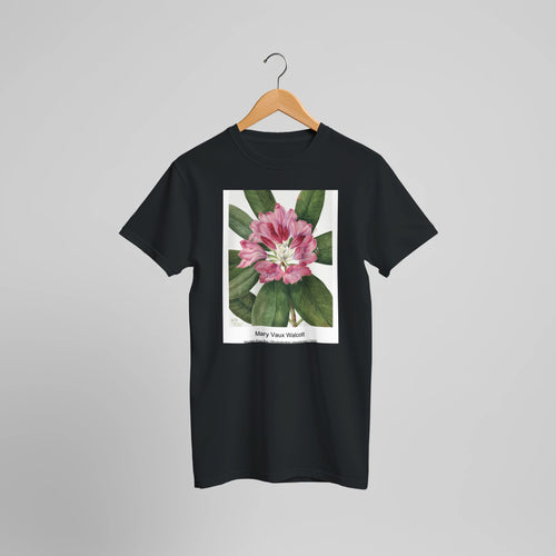 Mountain Rose Bay (Rhododendron catawbiense) (1932) by Mary Vaux Walcott. Custom Print on a 100% Airlume Combed and Ring-Spun Cotton Unisex Crewneck T-shirt Optimised Aspect Ratio.