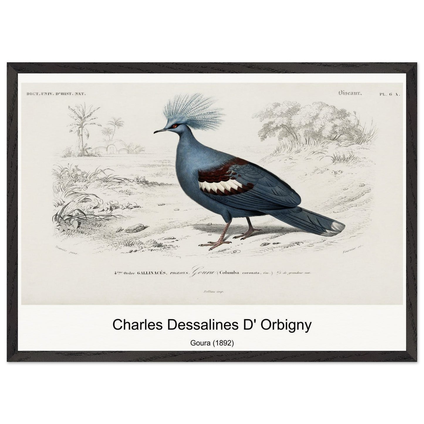 85252af1-d7f6-4342-b922-985bfb9523ee