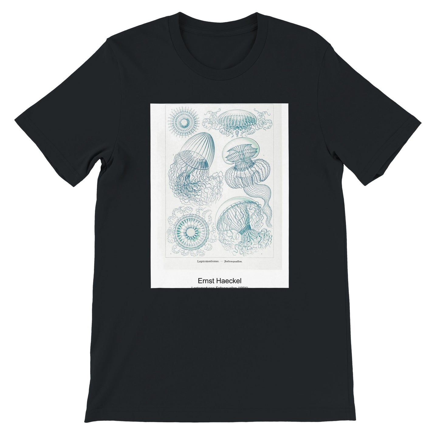 864d3a4d-d319-45d6-ad1c-fd18de32ddb6