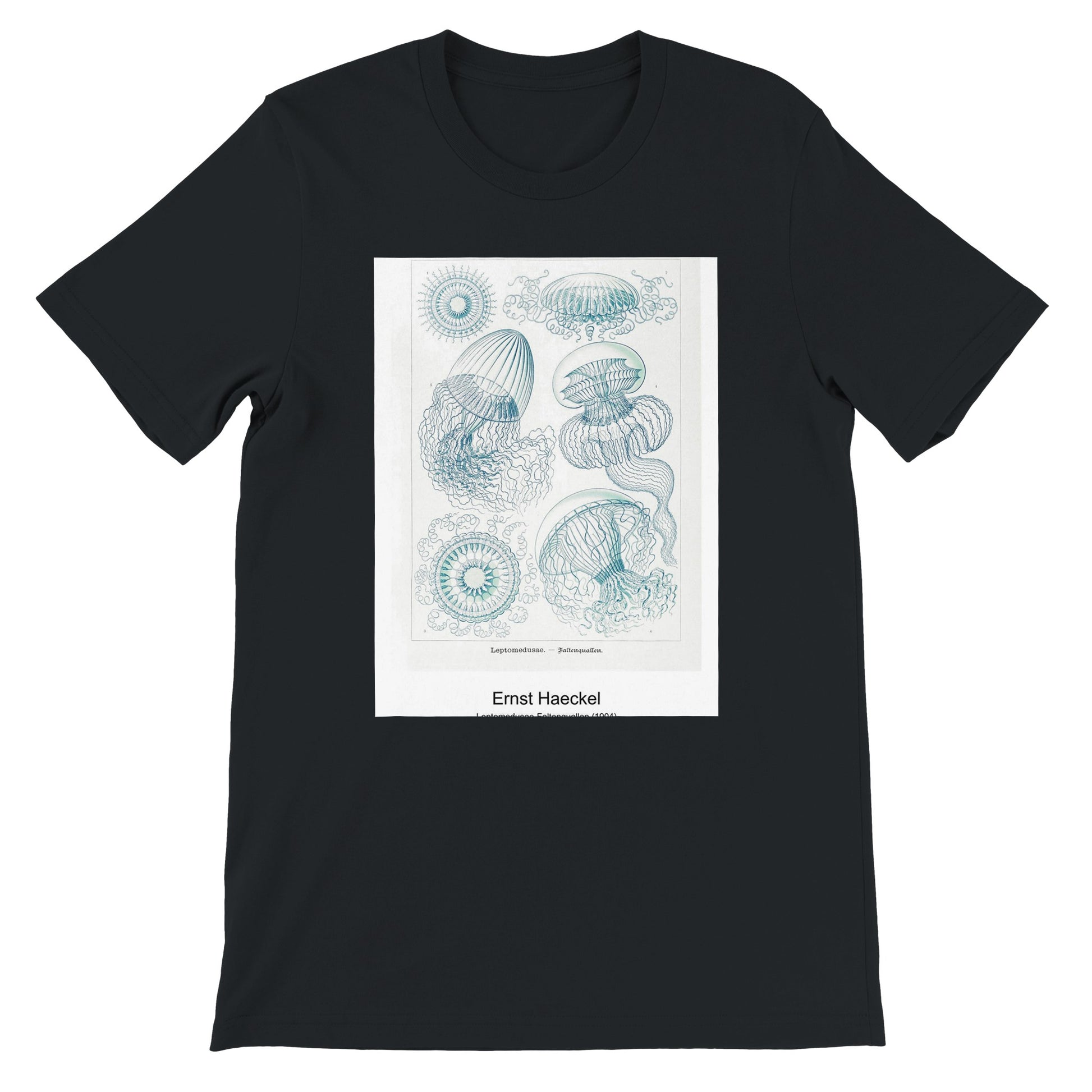 864d3a4d-d319-45d6-ad1c-fd18de32ddb6