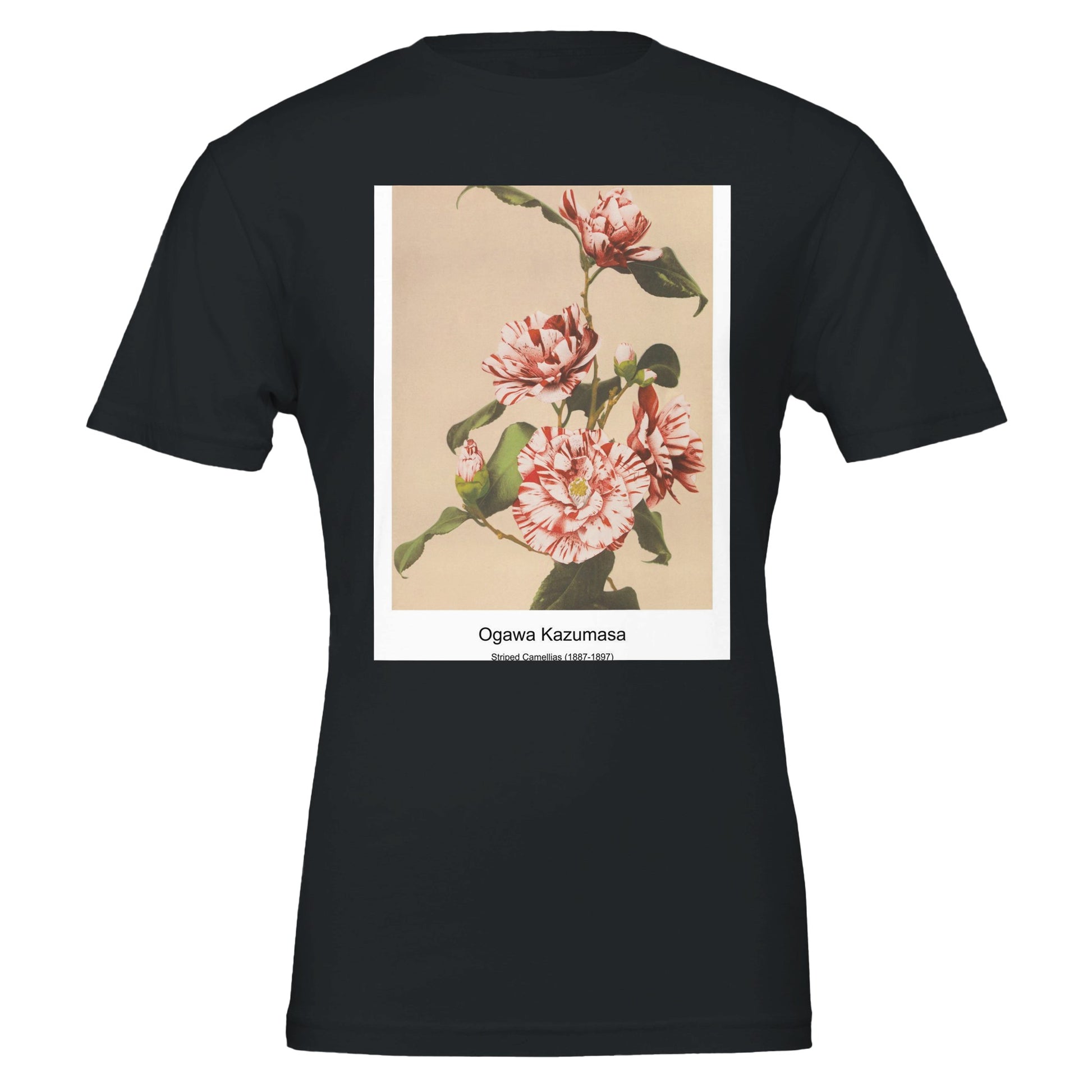 86576129-e264-4ac3-be8f-7ac849b28fa1