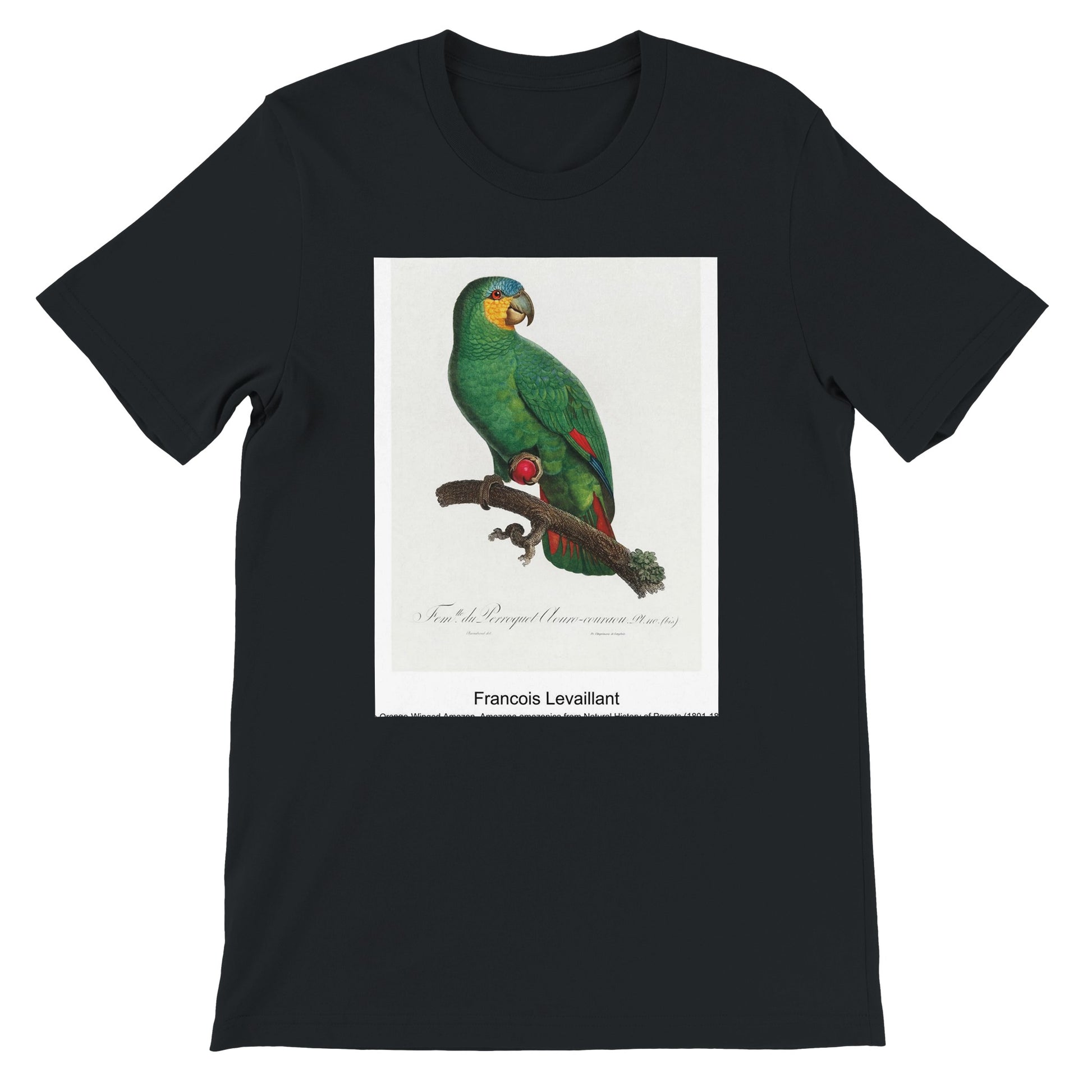 86611ba0-181a-46be-bcb6-27edbe243b3c