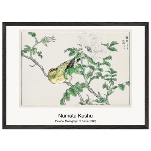 Thirlmere (1914) by Paul Nash. Archival Print on Museum Quality Matte Paper. Premium Wood Framed Wall Art. Original Aspect Ratio