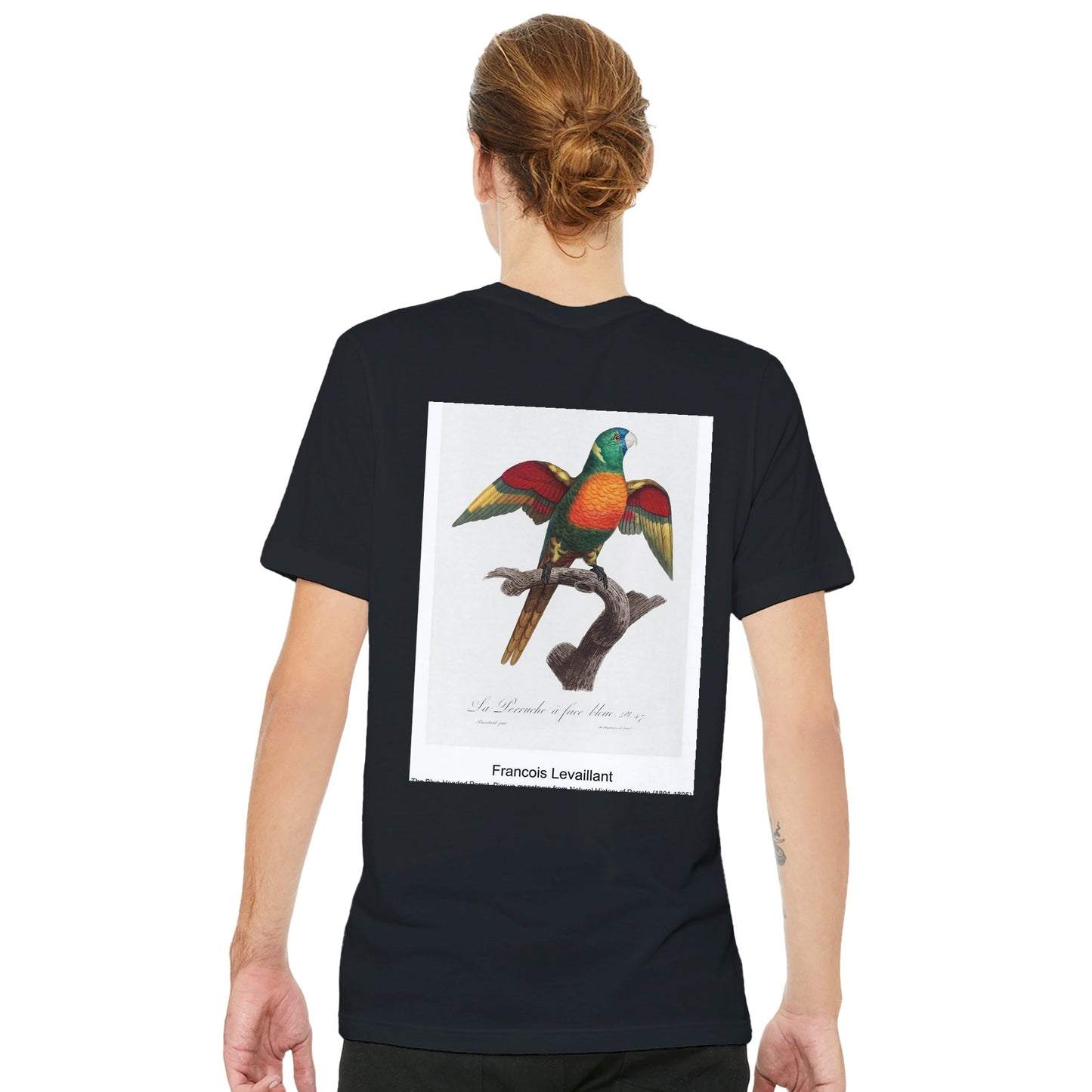 868ce864-e785-481f-bde7-8438cce51033