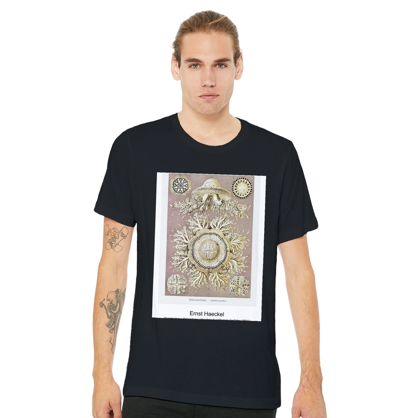 869249a0-7c32-4dcb-8995-8c35faae28af