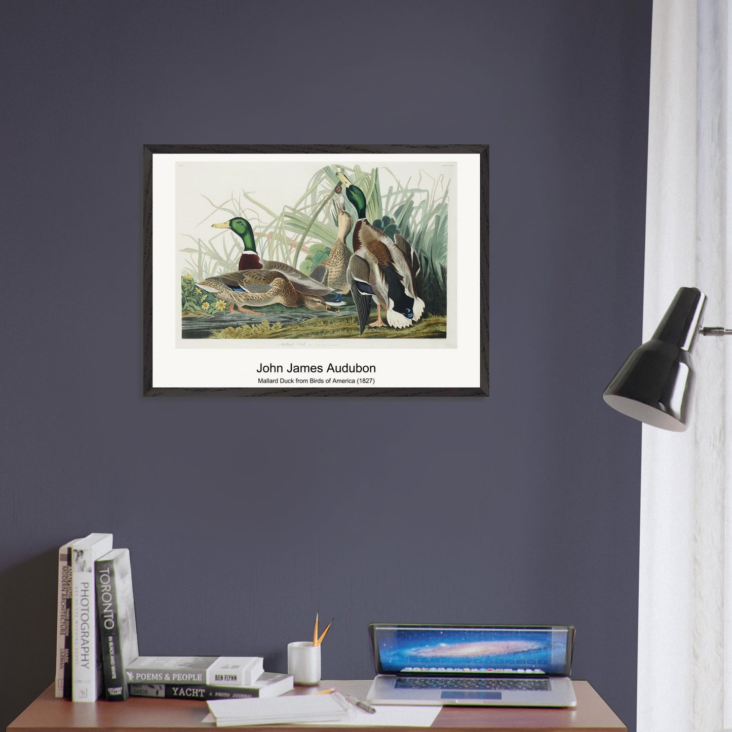 86ec27e4-a23a-4545-a046-c0b9b2a9aa8e