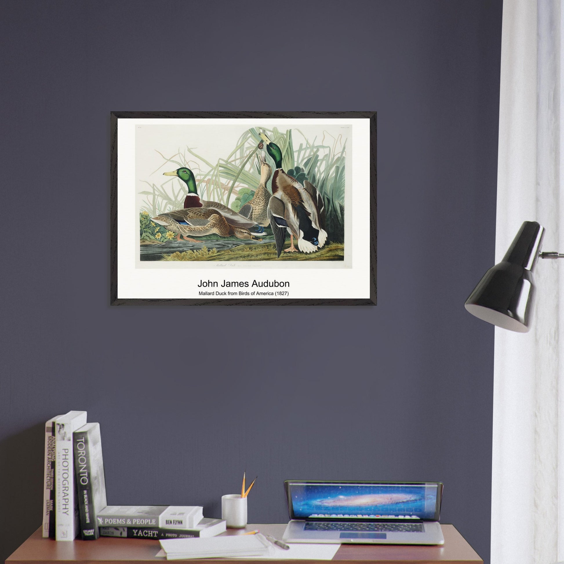 86ec27e4-a23a-4545-a046-c0b9b2a9aa8e