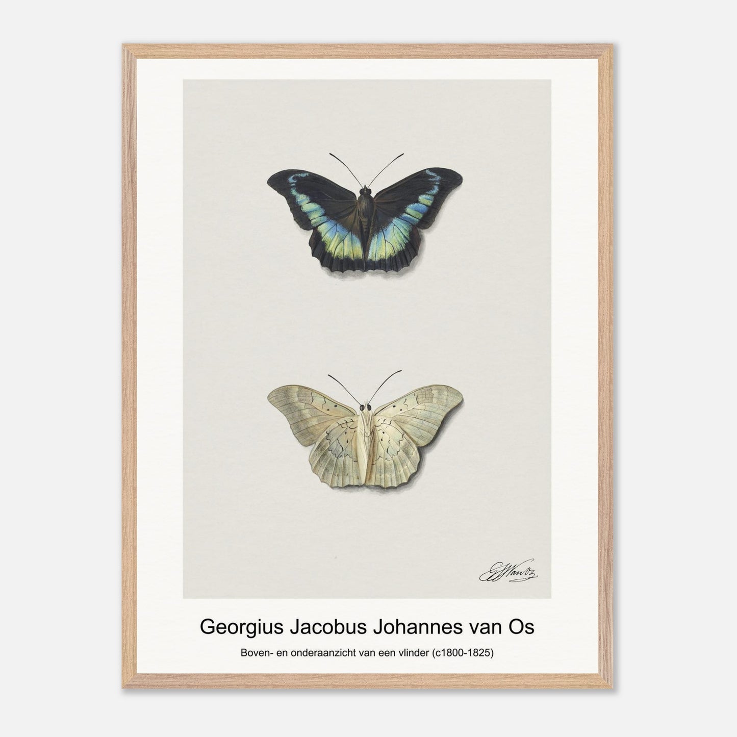 87224eca-74b5-4021-beaa-d574ee5b1858