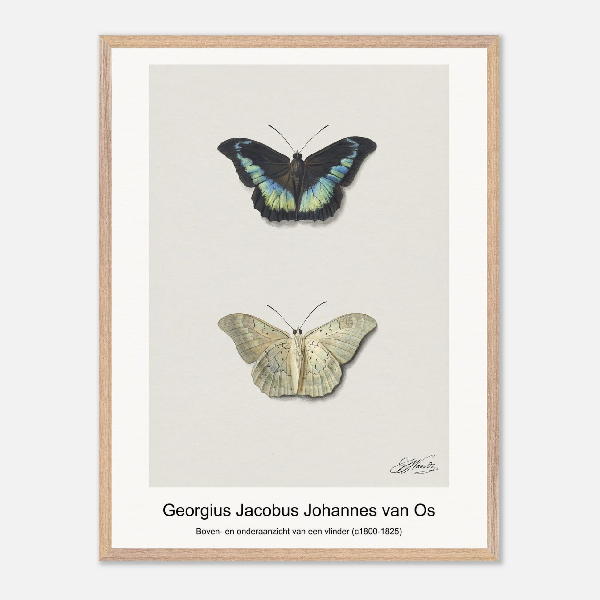 87224eca-74b5-4021-beaa-d574ee5b1858