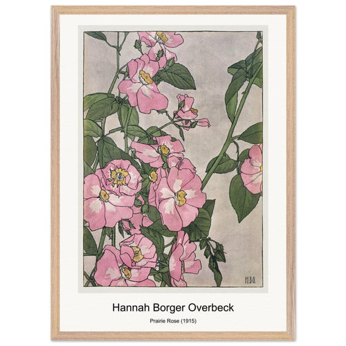 Prairie Rose (1915) by Hannah Borger Overbeck. Archival Print on Museum Quality Matte Paper. Premium Wood Framed Wall Art. Optimised Aspect Ratio.