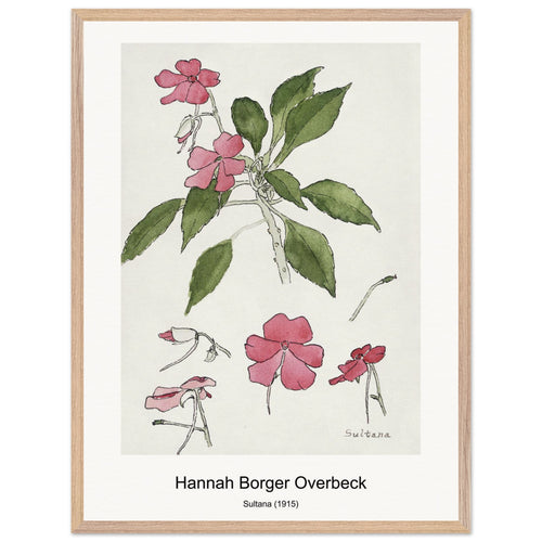 Sultana (1915) by Hannah Borger Overbeck. Archival Print on Museum Quality Matte Paper. Premium Wood Framed Wall Art. Original Aspect Ratio