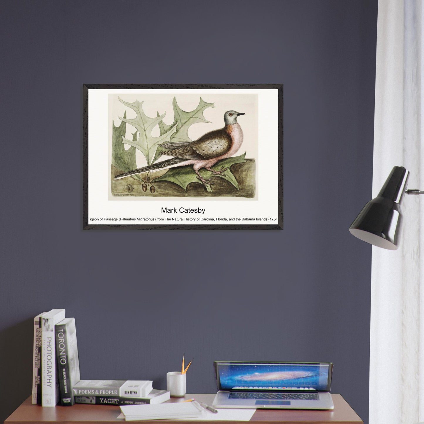 882a9887-5e4c-4c8e-bdee-4a03da8ea56c