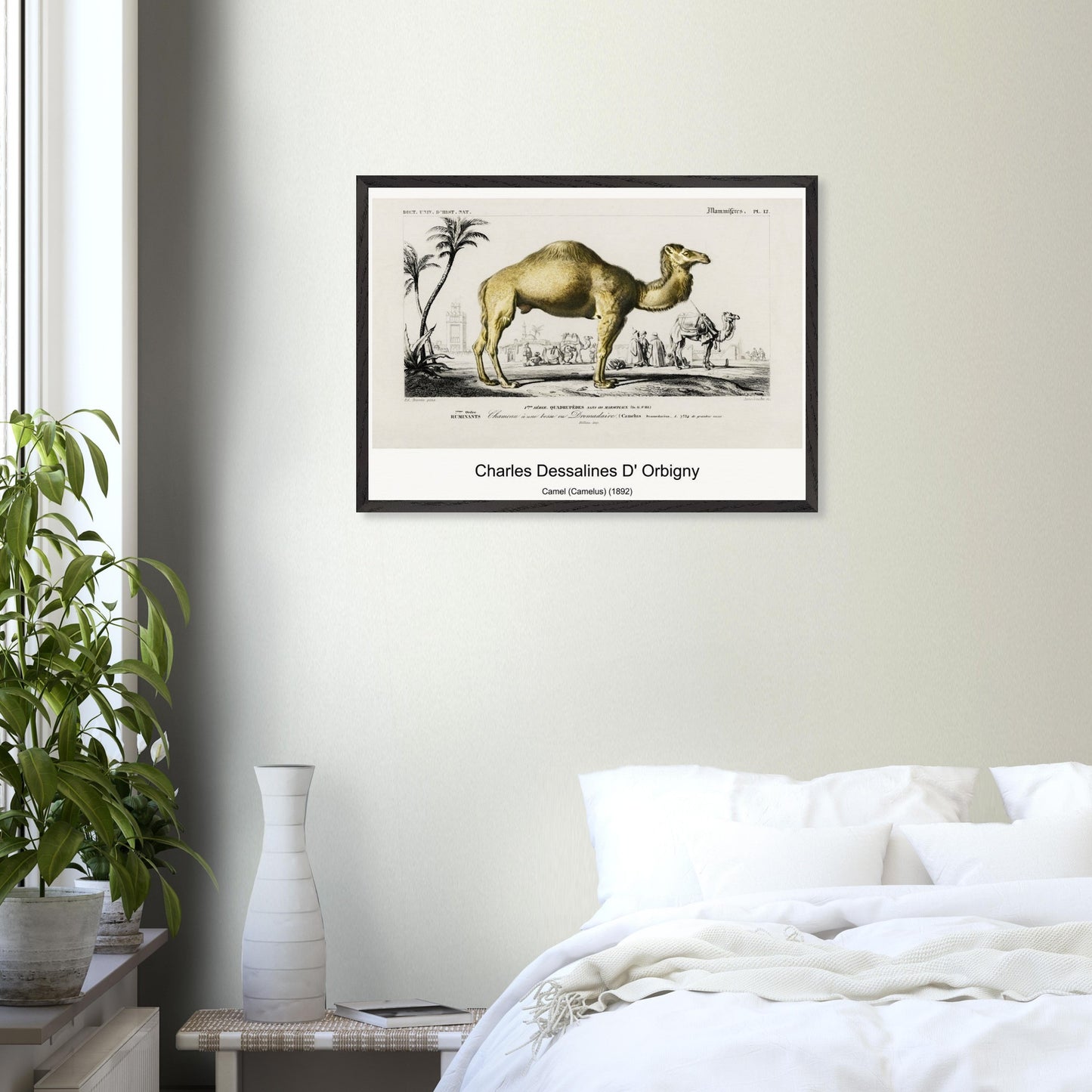 887f8803-d37f-41fb-81fd-8e900fb48b2e