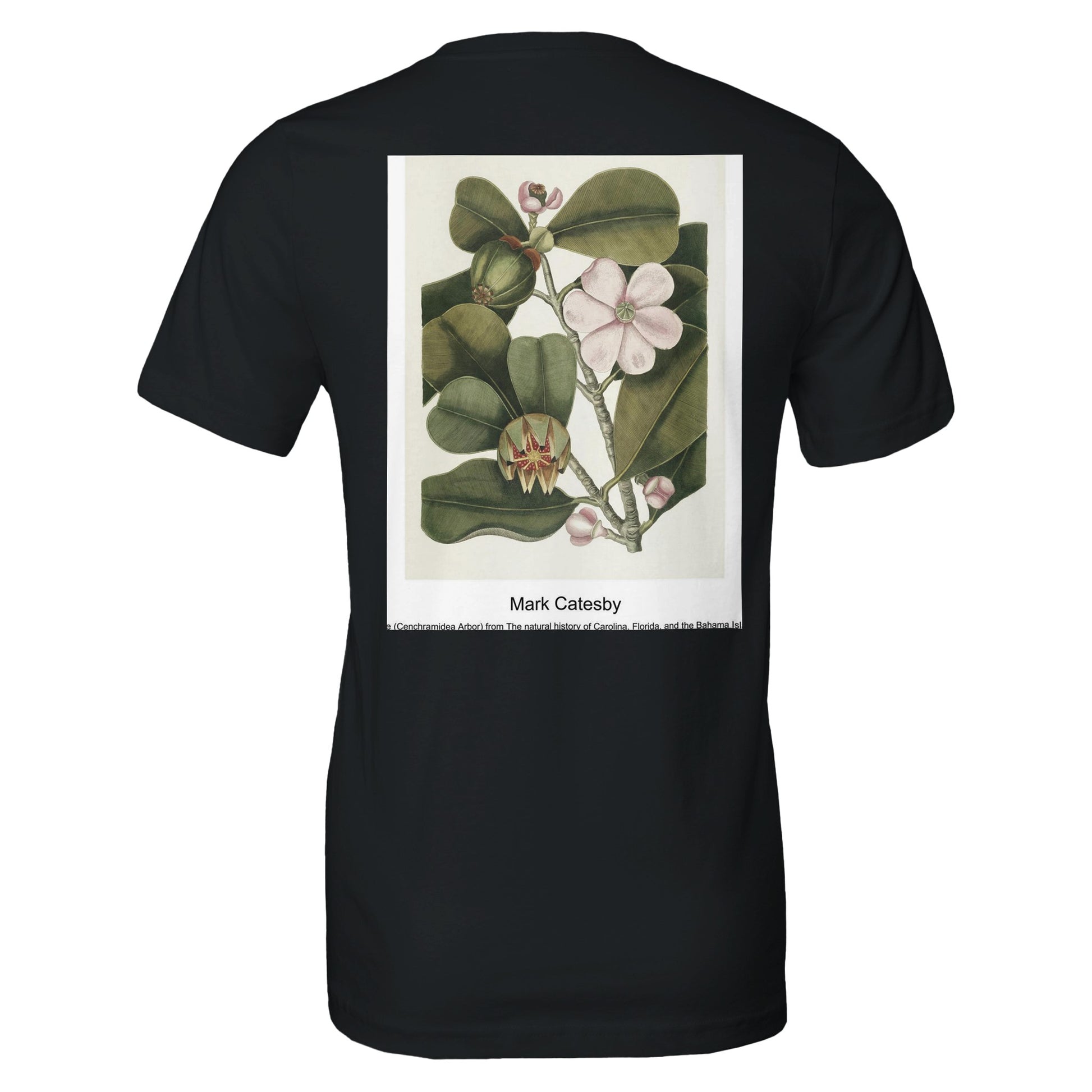 88cc51e6-8d82-4bf0-a94b-84f6ad932634