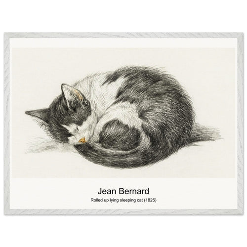 Rolled up lying sleeping cat (1825) by Jean Bernard. Archival Print on Museum Quality Matte Paper. Premium Wood Framed Wall Art. Optimised Aspect Ratio.