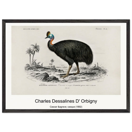 Casoar à casque (1892) by Charles Dessalines D' Orbigny. Archival Print on Museum Quality Matte Paper. Premium Wood Framed Wall Art. Original Aspect Ratio