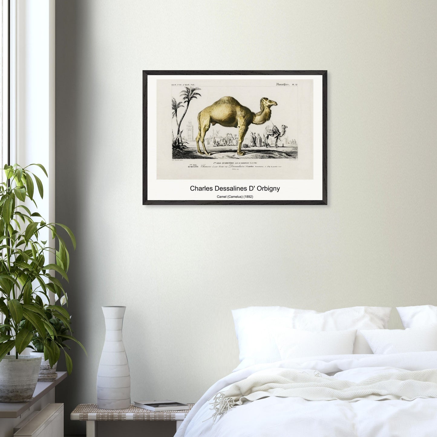 8a1cbff2-81f6-4016-9b7b-1dc91e56f7fa