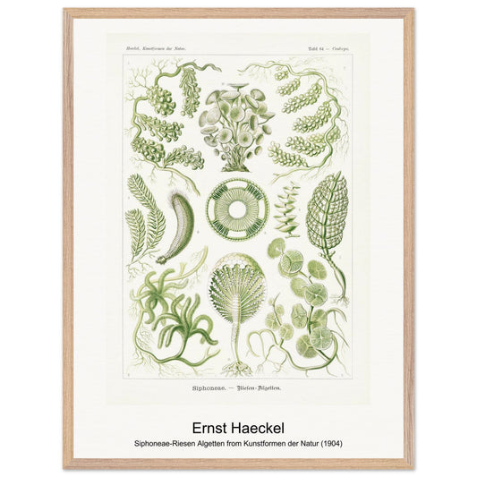 8a1f3c16-b264-4959-a32b-c3c5c02a100e