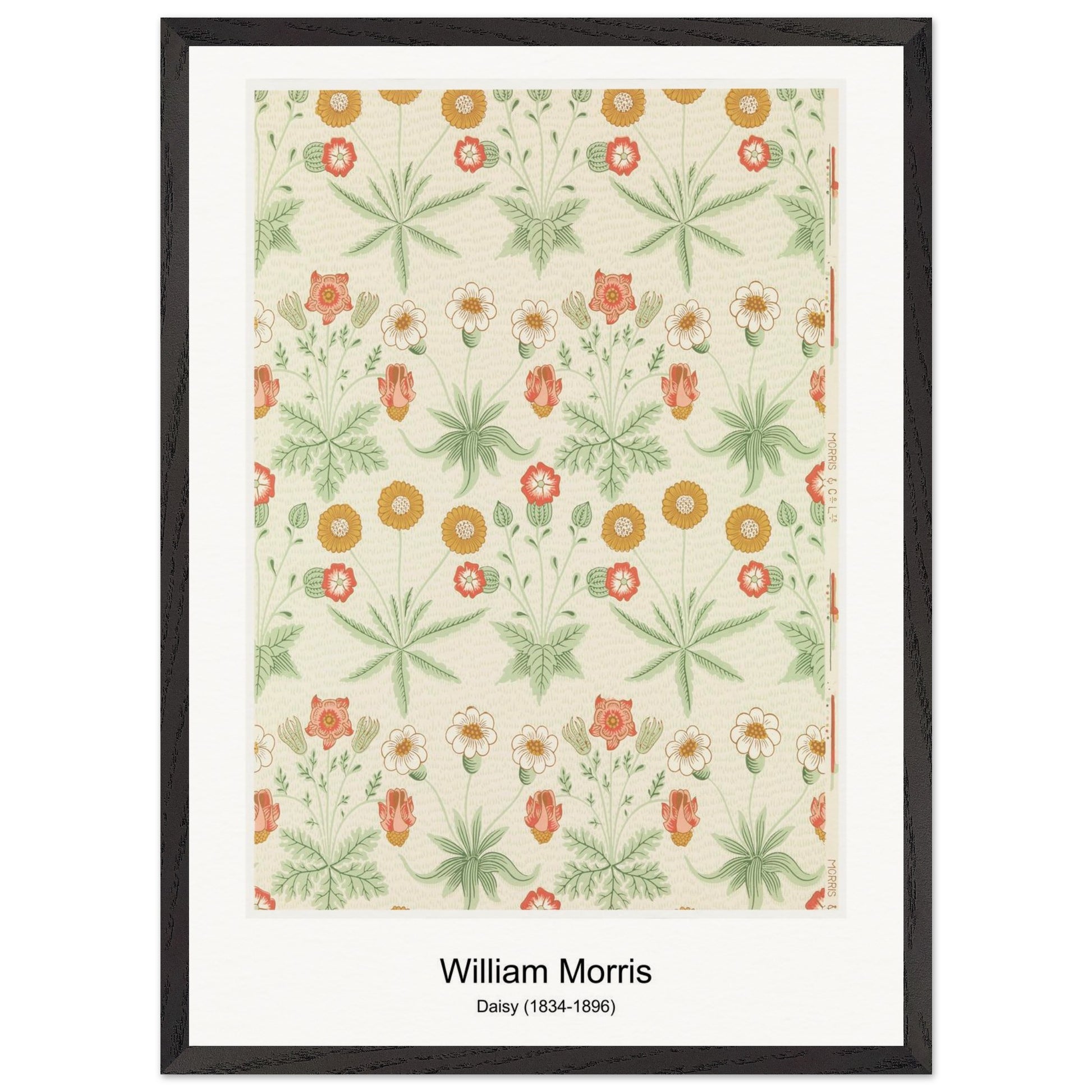 8a263e43-ce5b-491c-8123-bccf3418012e