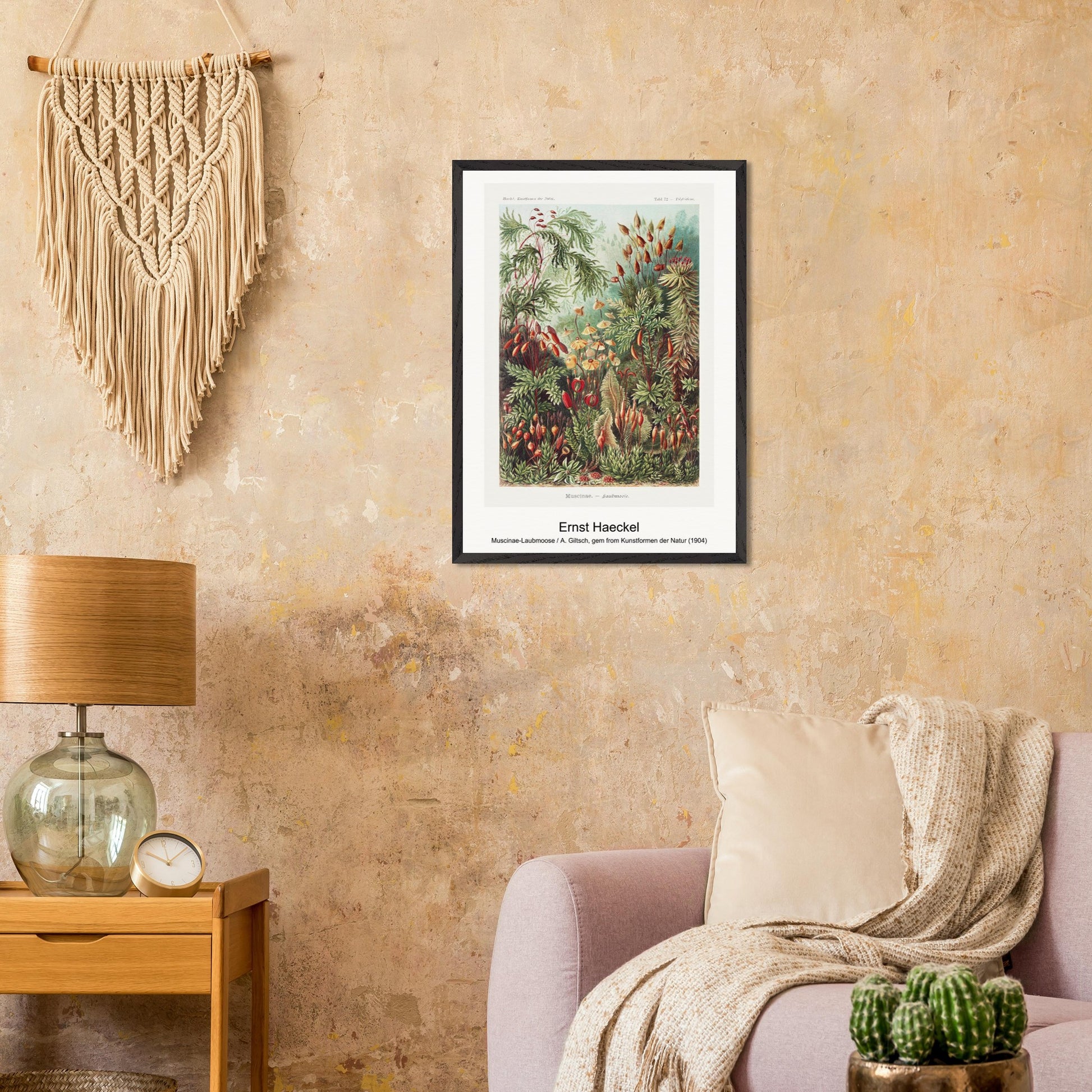 8a5d6133-f7b1-4fc3-a0c5-d631246a53bd