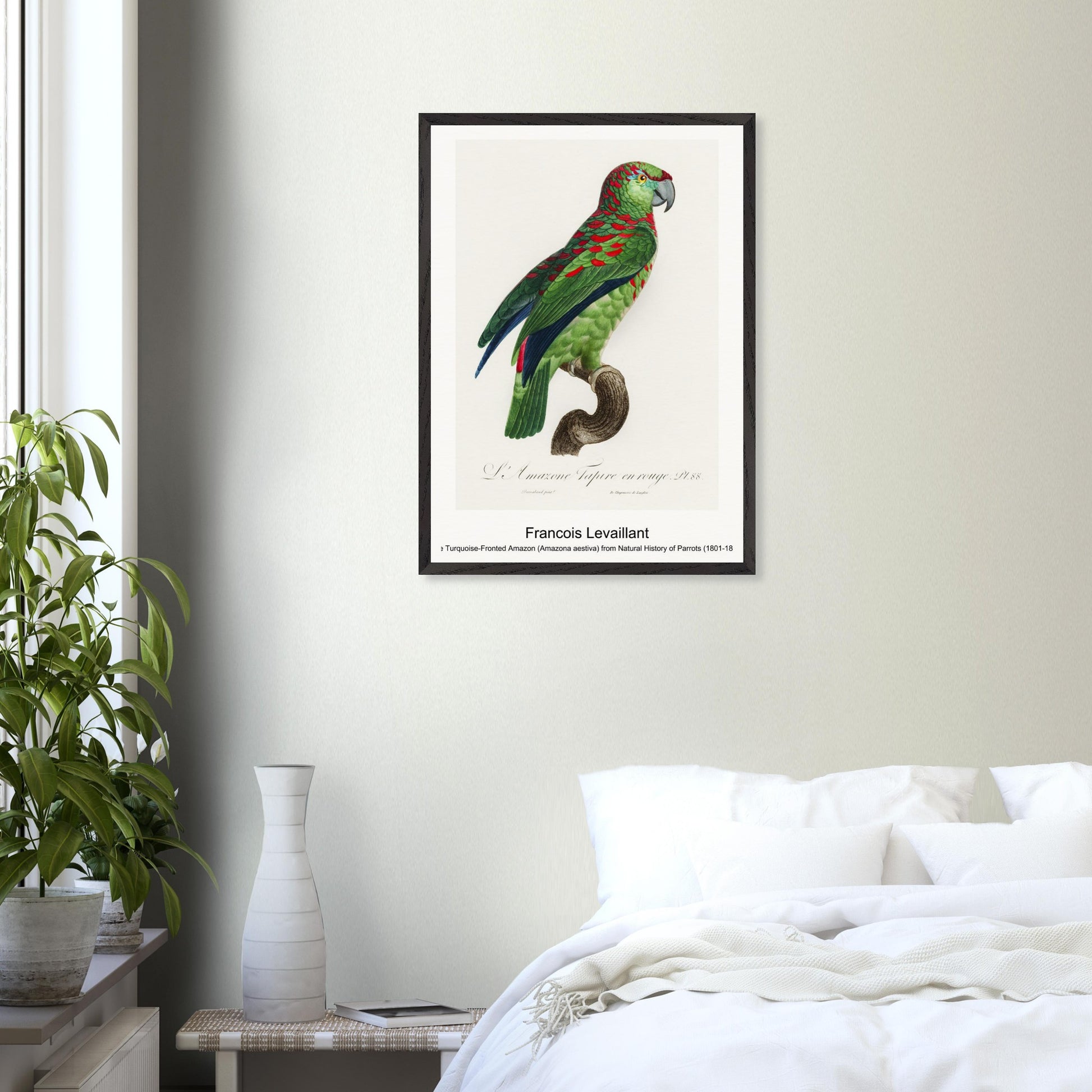 8cb16c6b-7d31-40c9-aaa0-53b495cec5ba