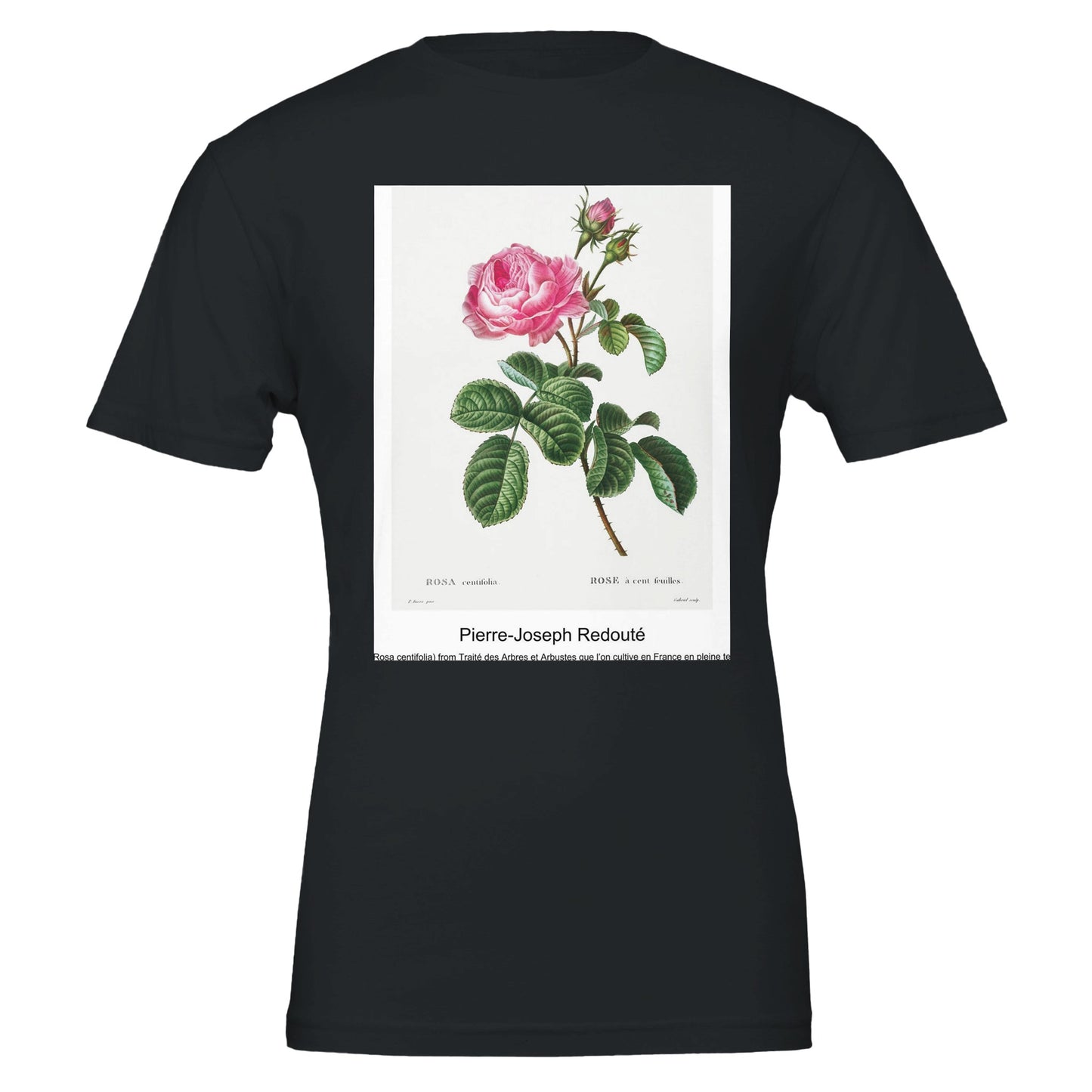 8d63acf7-1322-4c95-8183-3809f9b0ef23