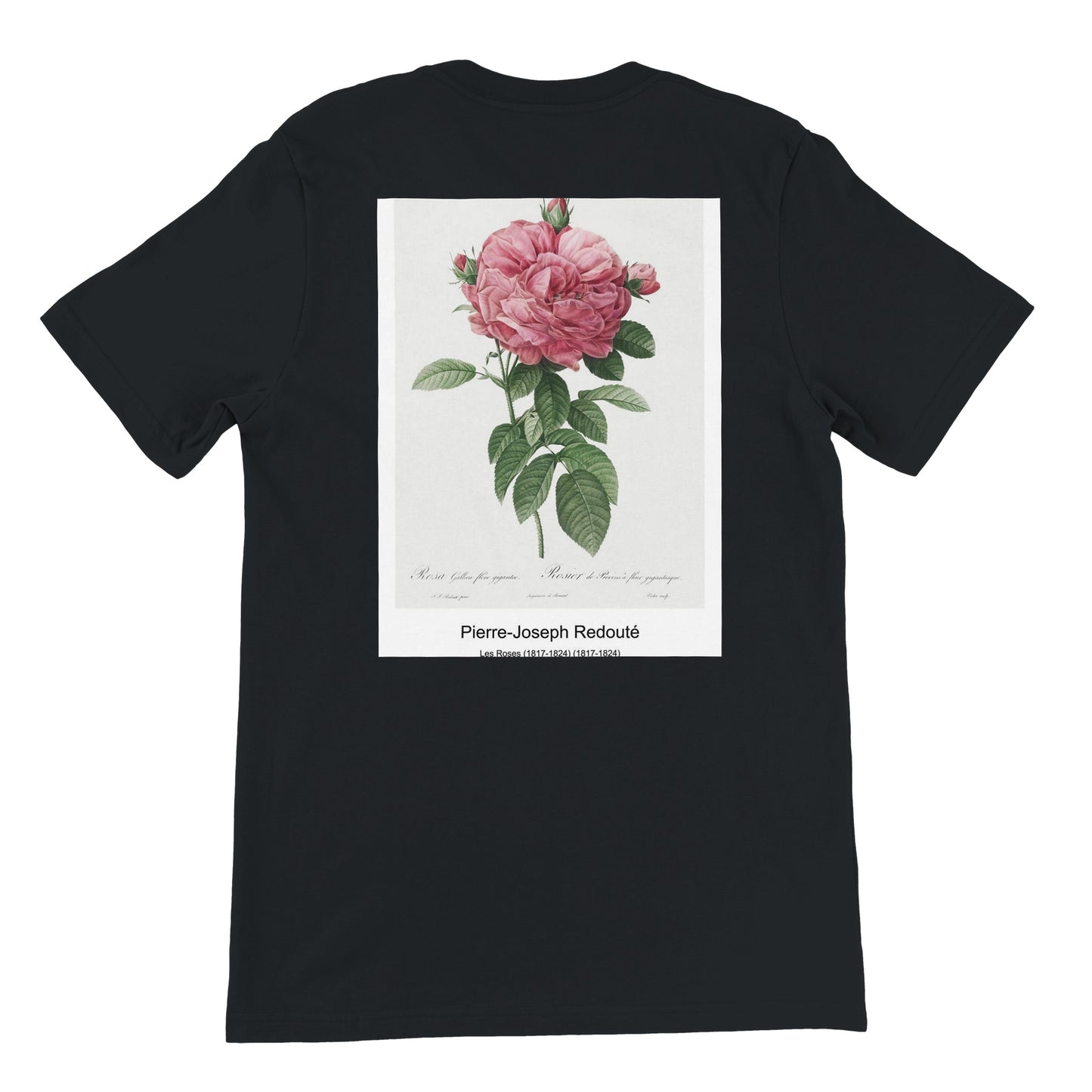 8d9493a6-4714-432e-9c72-d458fda56e59