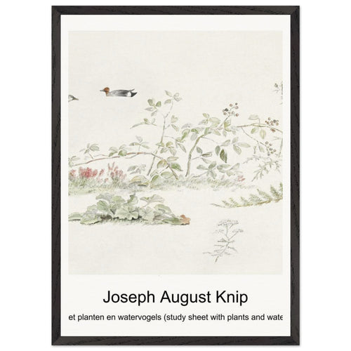 Urformen der Kunst (1928) by Karl Blossfeldt. Archival Print on Museum Quality Matte Paper. Premium Wood Framed Wall Art. Optimised Aspect Ratio.