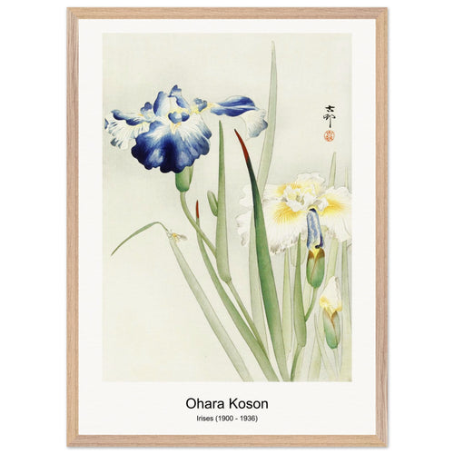 Irises (1900 - 1936) by Ohara Koson. Archival Print on Museum Quality Matte Paper. Premium Wood Framed Wall Art. Optimised Aspect Ratio.
